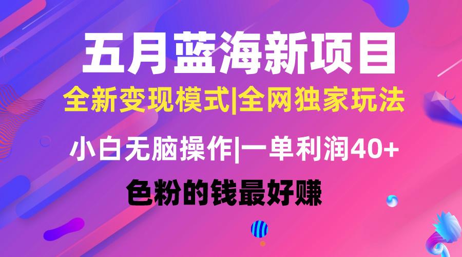 五月蓝海项目全新玩法,小白无脑操作,一天几分钟,矩阵操作,月入4万+
