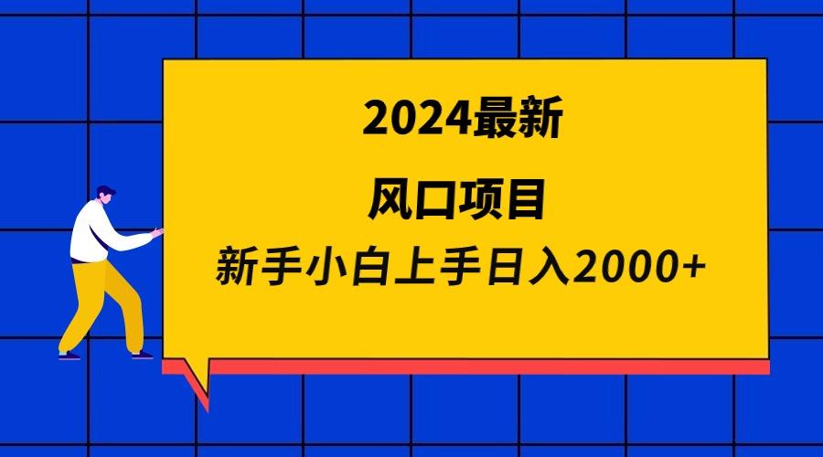 (9483期)最新风口项目 新手小白日入2000+