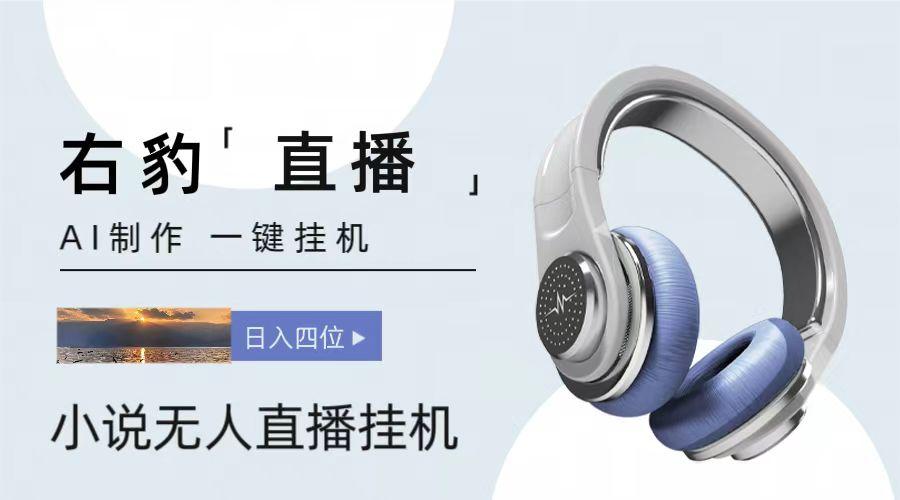 右豹小说无人直播挂机吸金项目，简单易行收益稳定， 月入1000+-蜗牛学社