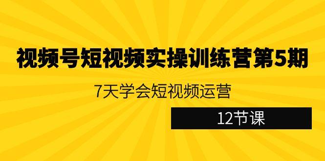 视频号短视频实操训练营第5期:7天学会短视频运营(12节课)