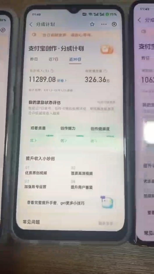 年底最稳项目，小白无门槛，坚持做三个月，回家过肥年！！！