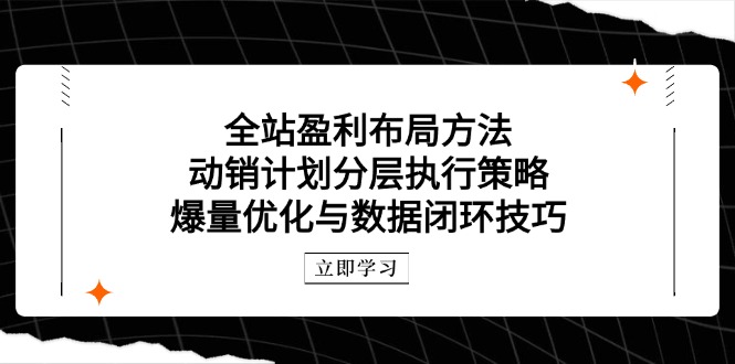 全站盈利布局方法：动销计划分层执行策略，爆量优化与数据闭环技巧-蜗牛学社