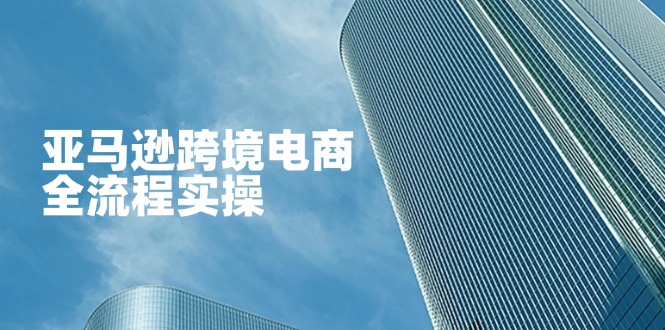 亚马逊跨境电商全流程实操，教你从零开始，掌握店铺运营与广告技巧-蜗牛学社