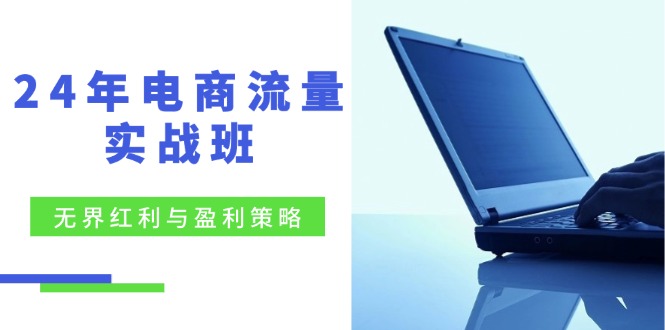 24年电商流量实战班:无界 红利与盈利策略,终极提升/关键词优化/精准…-蜗牛学社