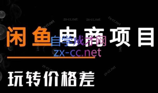 亿创繁星·闲鱼电商项目(玩转价格差)-蜗牛学社