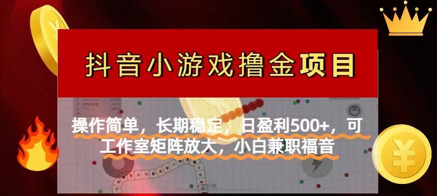 【抖音小游戏发行人计划项目】操作简单，长期稳定，日盈利500+，可工作…-蜗牛学社