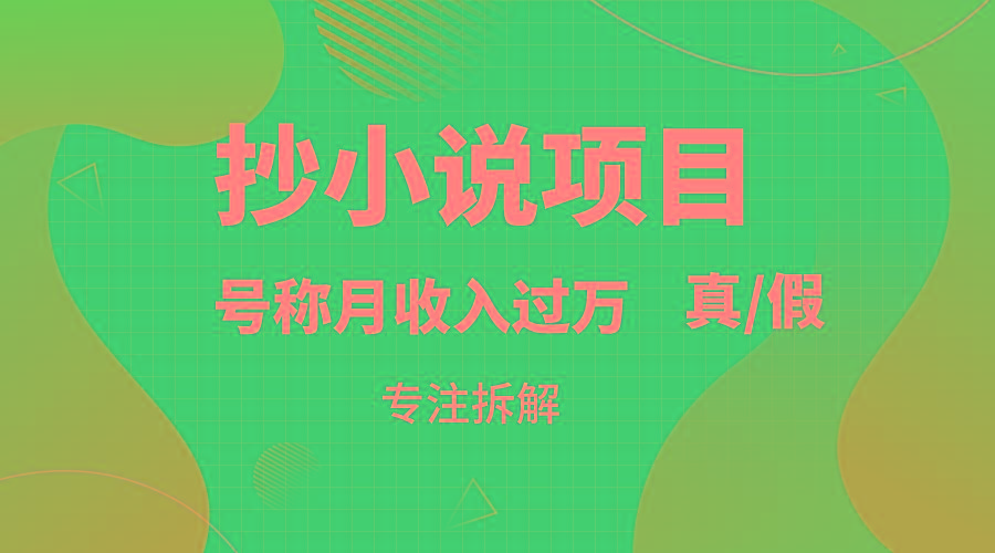 抄小说项目,号称月入过万,到底是否真实,能不能做,详细拆解-蜗牛学社