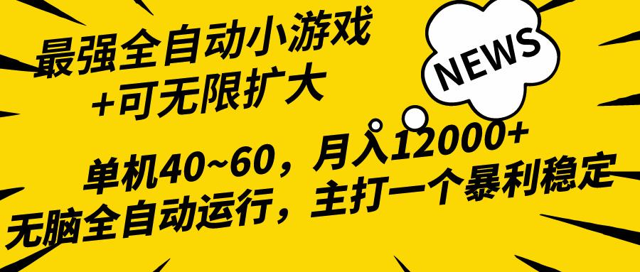 (10046期)最新全网独家小游戏全自动，单机40~60,稳定躺赚，小白都能月入过万