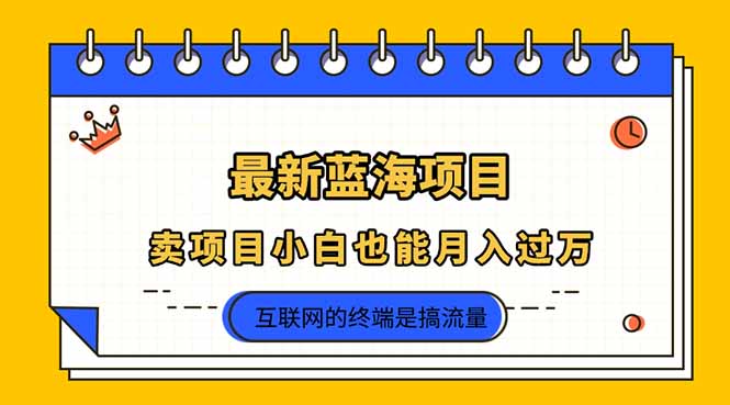 2025年最新蓝海项目,卖项目小白也能月入过万-蜗牛学社