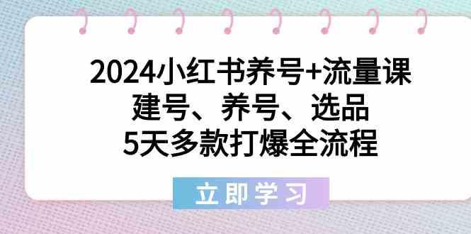 小红书养号+流量课:建号、养号、选品,5天多款打爆全流程-蜗牛学社