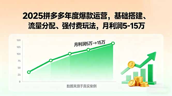 2025拼多多年度爆款运营，基础搭建、流量分配、强付费玩法，月利润5-15万-蜗牛学社