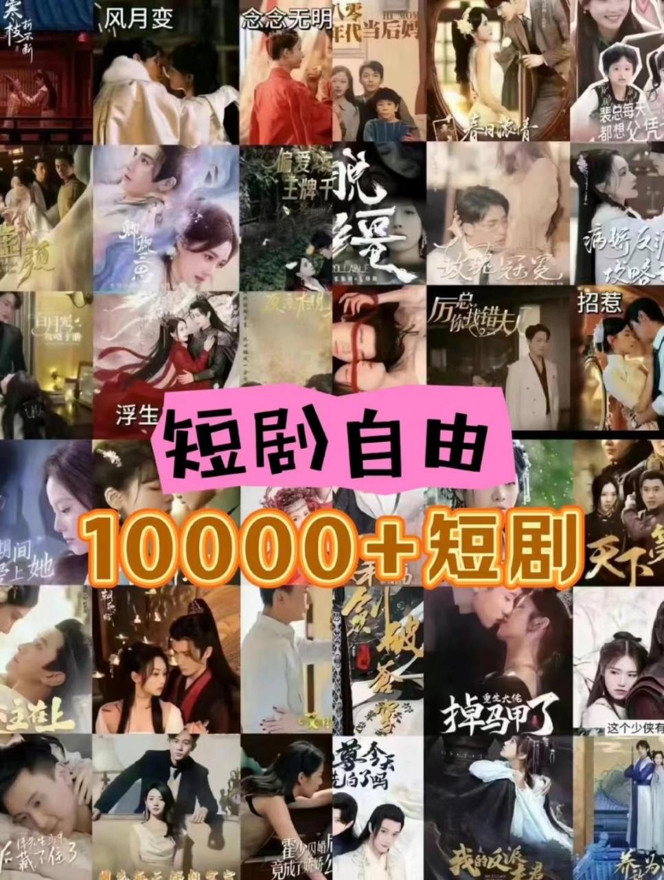 图片[2]-打造完全属于自己的个人短剧库，实现网盘拉新与私域变现的完美融合！-蜗牛学社