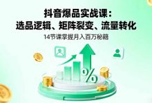 抖音爆品实战课:选品逻辑、矩阵裂变、流量转化,14节课掌握月入百万秘籍-蜗牛学社
