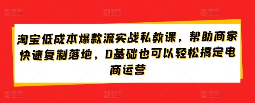 淘宝低成本爆款流实战私教课,帮助商家快速复制落地,0基础也可以轻松搞定电商运营-蜗牛学社