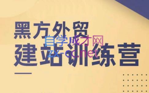 黑方老师·谷歌B端独立站建站推广-蜗牛学社