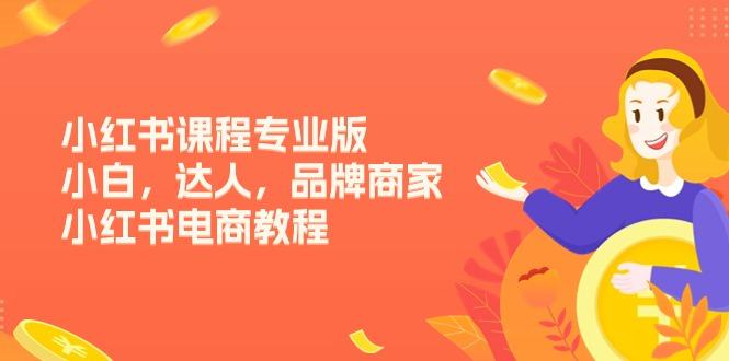 小红书课程专业版，小白，达人，品牌商家，小红书电商教程(15节-蜗牛学社