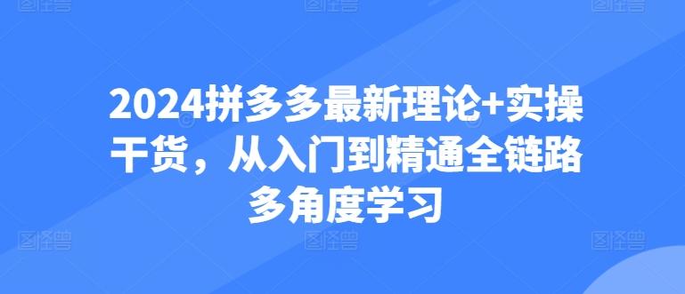 拼多多最新理论+实操干货，从入门到精通全链路多角度学习