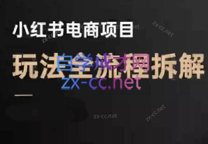 菲菲老师·小红书电商玩法(更新7月)-蜗牛学社