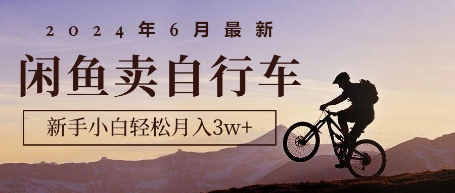 年6月最新闲鱼卖自行车，新手小白轻松月入3w+项目