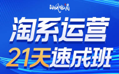白凤电商·淘系运营21天速成班(更新8月)-蜗牛学社