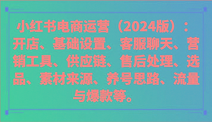 小红书电商运营(版):开店、设置、供应链、选品、素材、养号、流量与爆款等