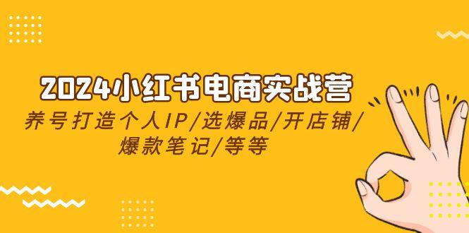 小红书电商实战营,养号打造IP/选爆品/开店铺/爆款笔记/等等(24节)-蜗牛学社