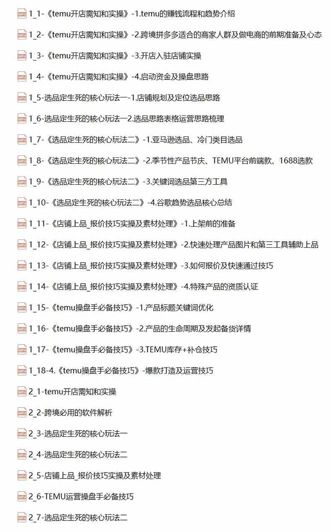 -TEMU拼多多·跨境开店、运营、选品(25节视频课