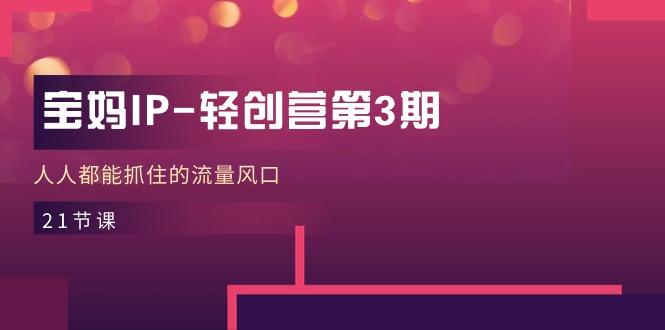 宝妈IP-轻创营第3期，人人都能抓住的流量风口(21节课-蜗牛学社