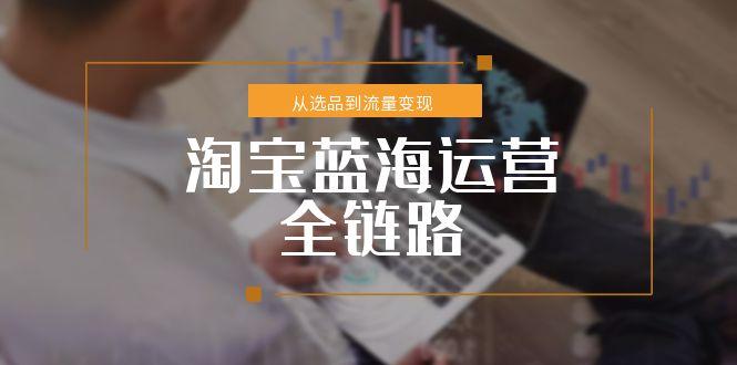 淘宝蓝海运营全链路,从选品到流量变现,小类目突围完整方案-蜗牛学社