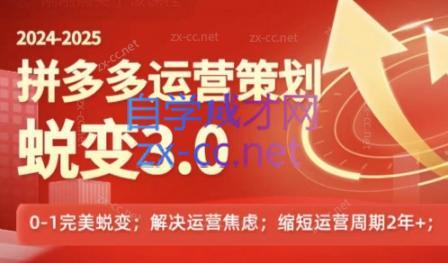 大力老师·2024拼多多运营策略蜕变3.0-蜗牛学社