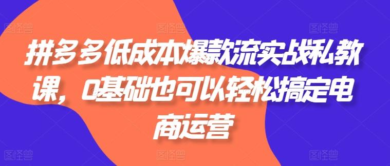 拼多多低成本爆款流实战私教课，0基础也可以轻松搞定电商运营-蜗牛学社