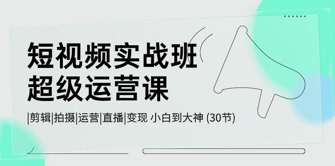 短视频实战班超级运营课 |剪辑|拍摄|运营|直播|变现 小白到大神 (30节)-蜗牛学社