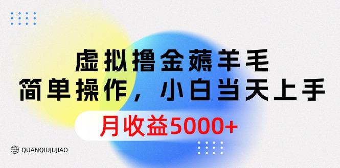 (9864期)虚拟撸金薅羊毛,简单操作,小白当天上手,月收益5000+-蜗牛学社