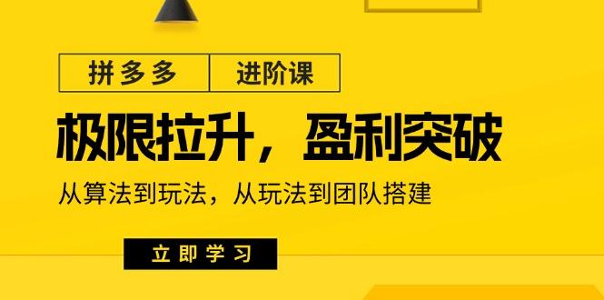 拼多多·进阶课:极限拉升/盈利突破:从算法到玩法 从玩法到团队搭建-18节-蜗牛学社