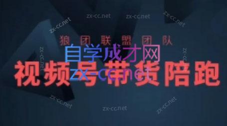 狼团联盟·2024视频号带货-蜗牛学社