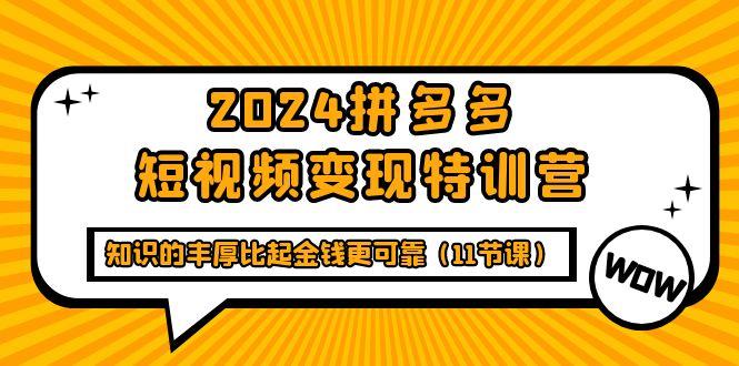 (9817期)拼多多短视频变现特训营，知识的丰厚比起金钱更可靠(11节课)
