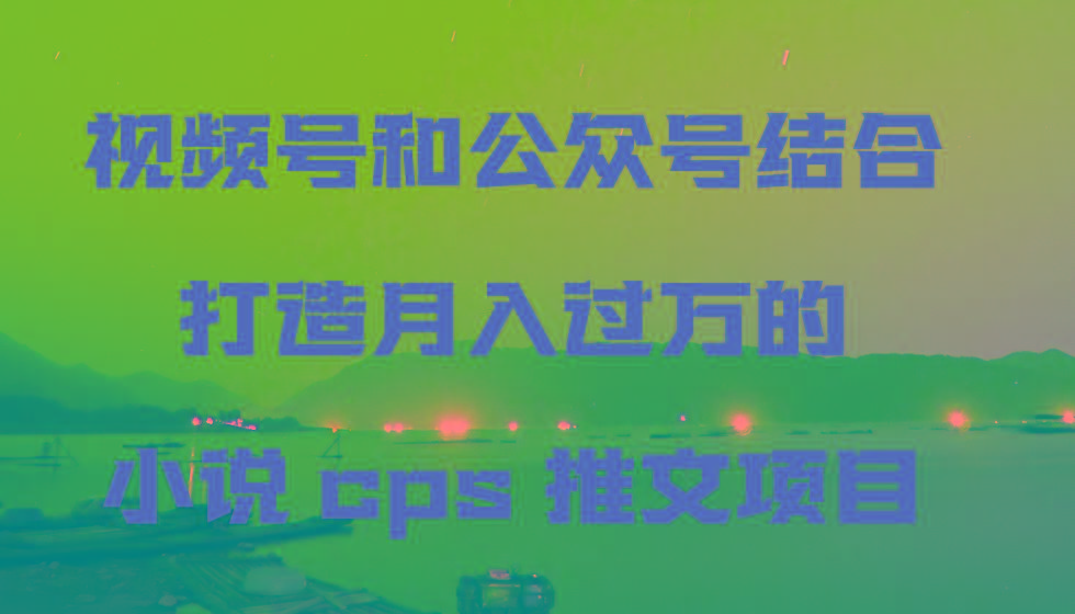 视频号和公众号结合打造月入过万的小说cps推文项目,包括市面上面的各种思路详解-蜗牛学社