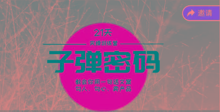 《子弹密码训练营》-用一句话文案勾人勾心卖产品，21天学到顶尖文案大师策略和技巧-蜗牛学社