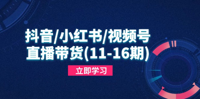 抖音/小红书/视频号/直播带货(11-16期-蜗牛学社
