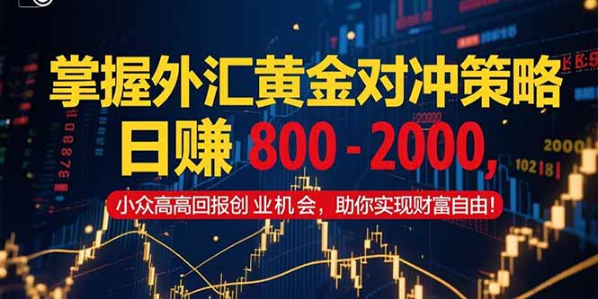 掌握外汇黄金对冲策略，日赚 800 – 2000，小众高回报创业机会，助你实…-蜗牛学社