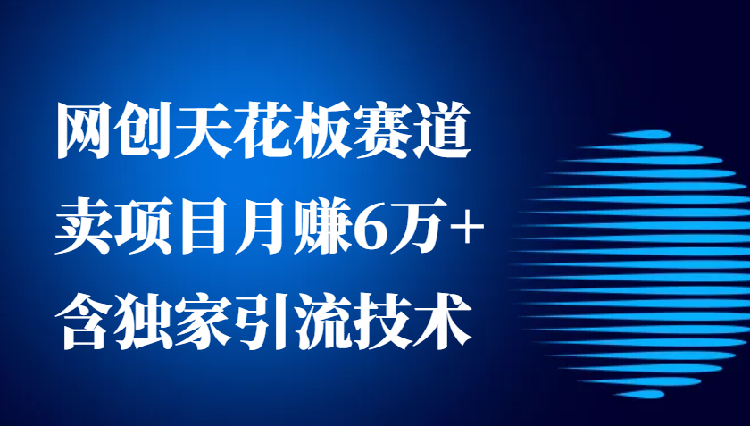 网创天花板赛道，卖项目月赚6万+，含独家引流技术(共26节课)-蜗牛学社