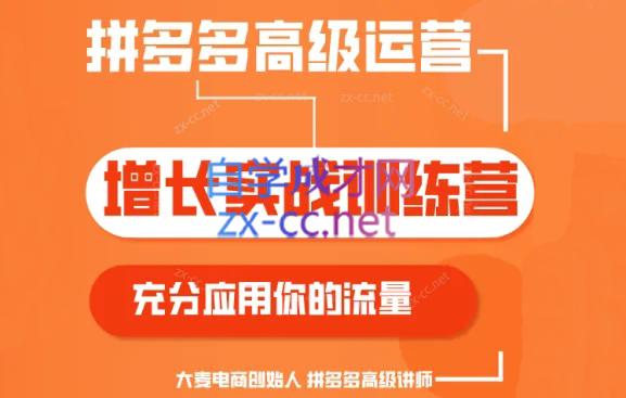 大麦老师·拼多多单品爆款打造课程(更新6月)-蜗牛学社