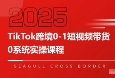 大亿老师·TikTok跨境0-1短视频带货-蜗牛学社