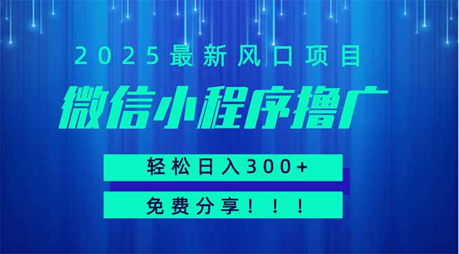 微信小程序撸广,最新风口项目,日入300+ 免费分享 可批量操作 小白可…-蜗牛学社