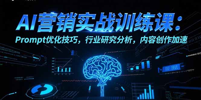 AI营销实战训练课：Prompt优化技巧，行业研究分析，内容创作加速-蜗牛学社