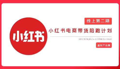 2025小红书虚拟电商实战课-蜗牛学社