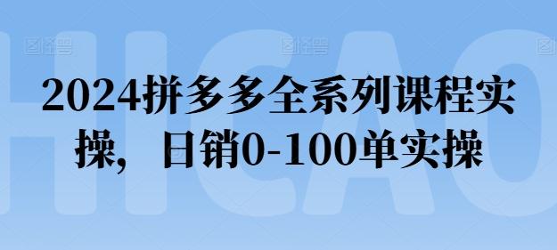 拼多多全系列课程实操，日销0-100单实操【必看】