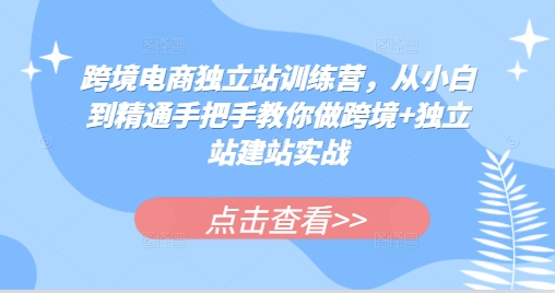 跨境电商独立站训练营，从小白到精通手把手教你做跨境+独立站建站实战-蜗牛学社