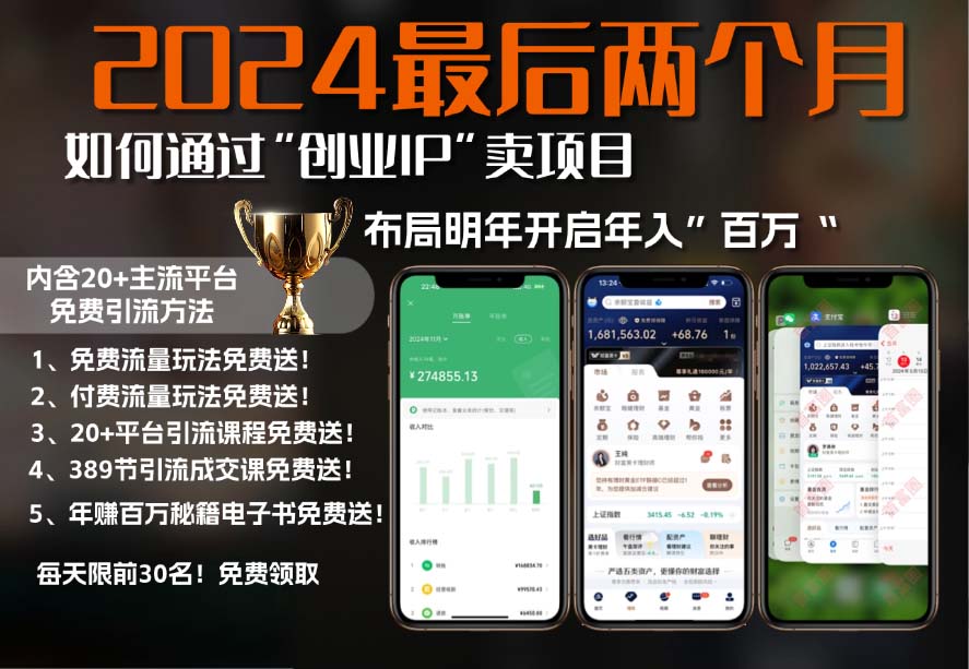 最后两个月如何通过”创业IP“卖项目年入”百万“,创业IP+最强引流…
