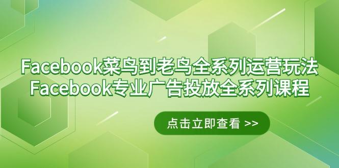 Facebook-菜鸟到老鸟全系列运营玩法+Facebook-专业广告投放全系列课程-蜗牛学社